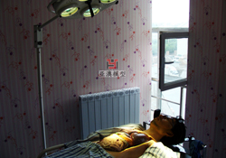 人體解剖互動體驗